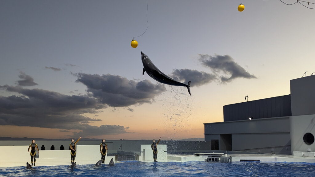 神戸須磨シーワールド ドルフィンパフォーマンス