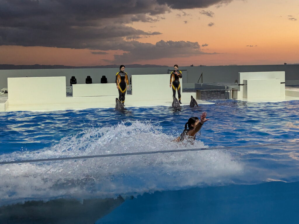 神戸須磨シーワールド ドルフィンパフォーマンス