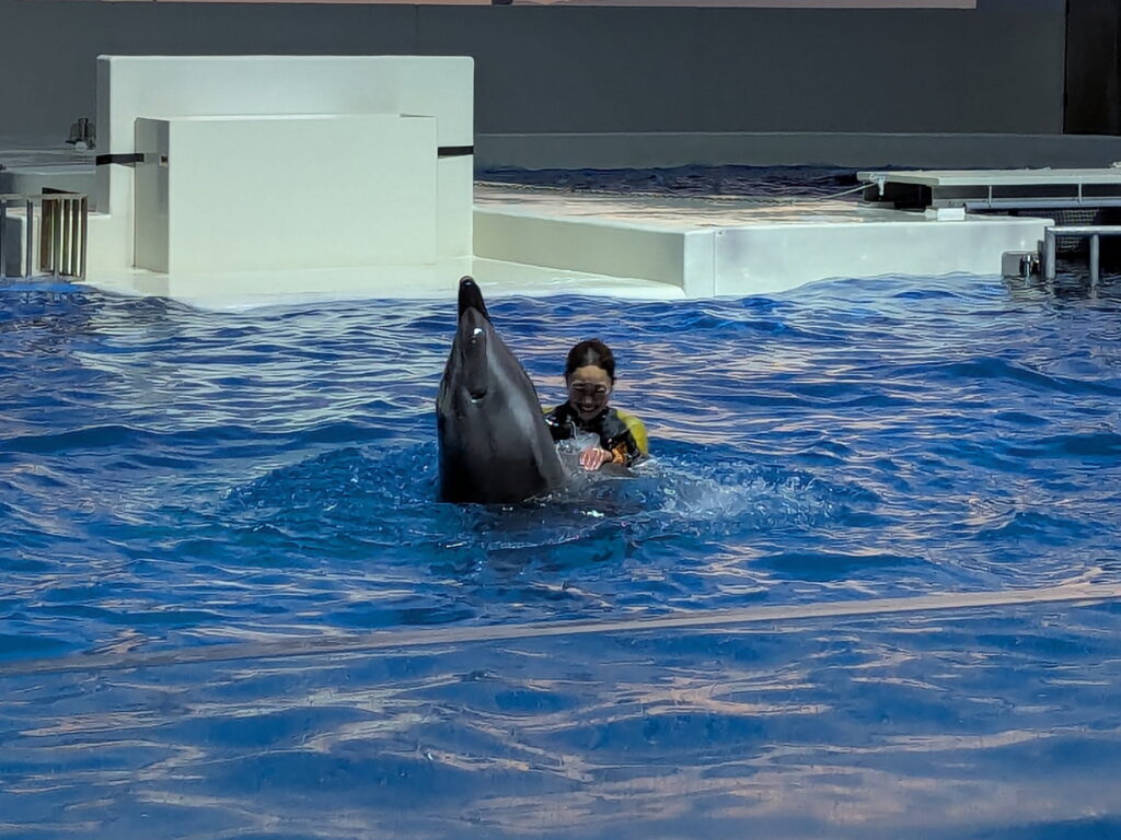 神戸須磨シーワールド ドルフィンパフォーマンス