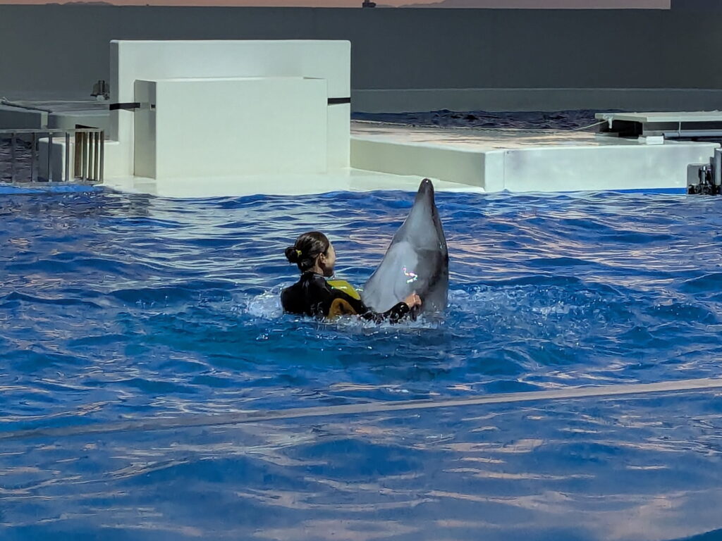 神戸須磨シーワールド ドルフィンパフォーマンス