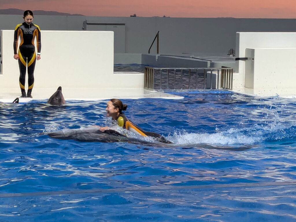 神戸須磨シーワールド ドルフィンパフォーマンス