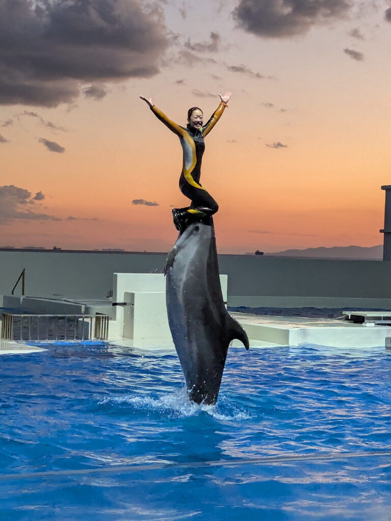 神戸須磨シーワールド ドルフィンパフォーマンス