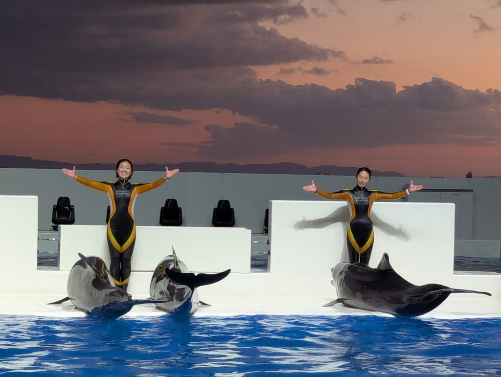 神戸須磨シーワールド ドルフィンパフォーマンス