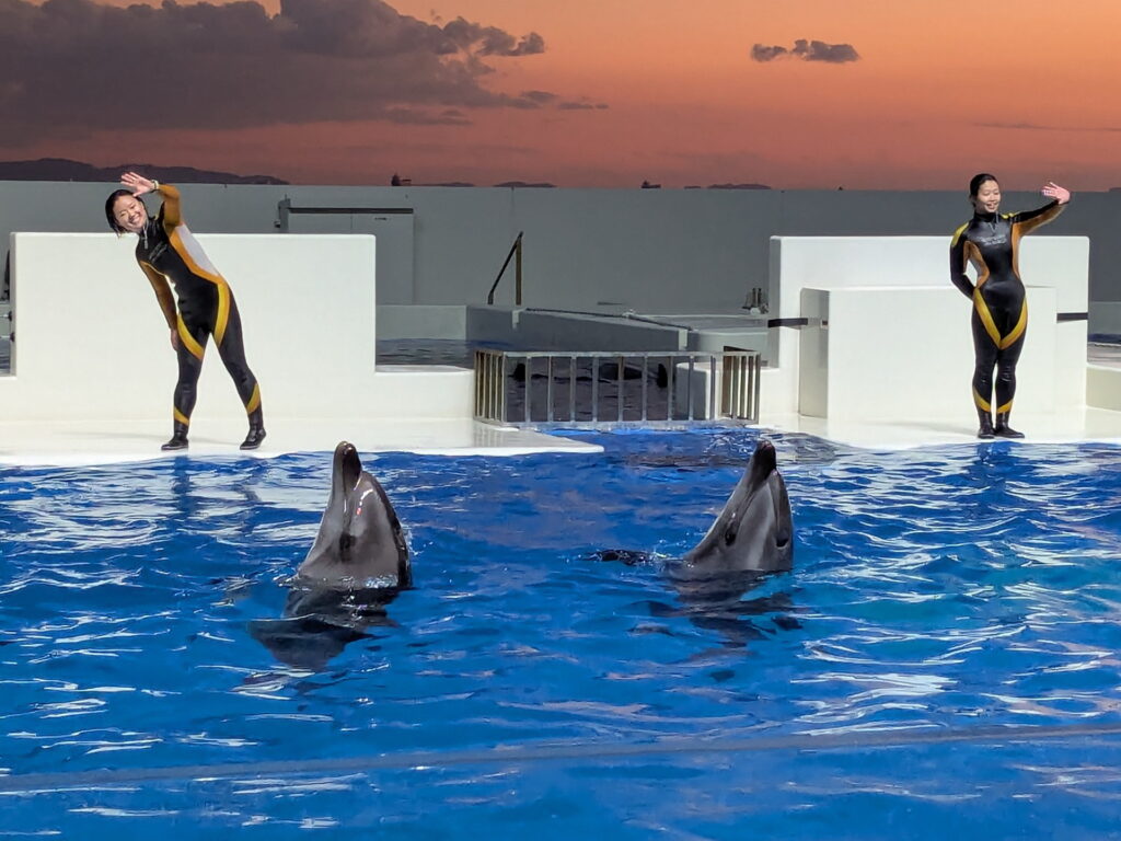 神戸須磨シーワールド ドルフィンパフォーマンス