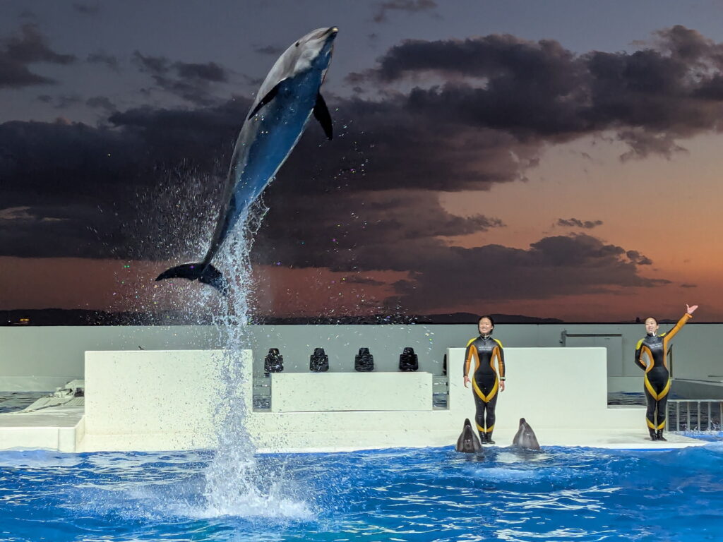 神戸須磨シーワールド ドルフィンパフォーマンス