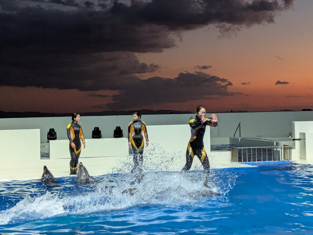 神戸須磨シーワールド ドルフィンパフォーマンス