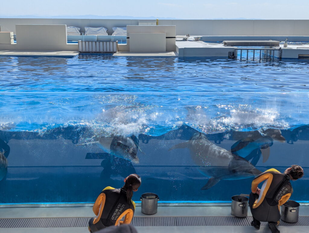 神戸須磨シーワールド ドルフィンパフォーマンス