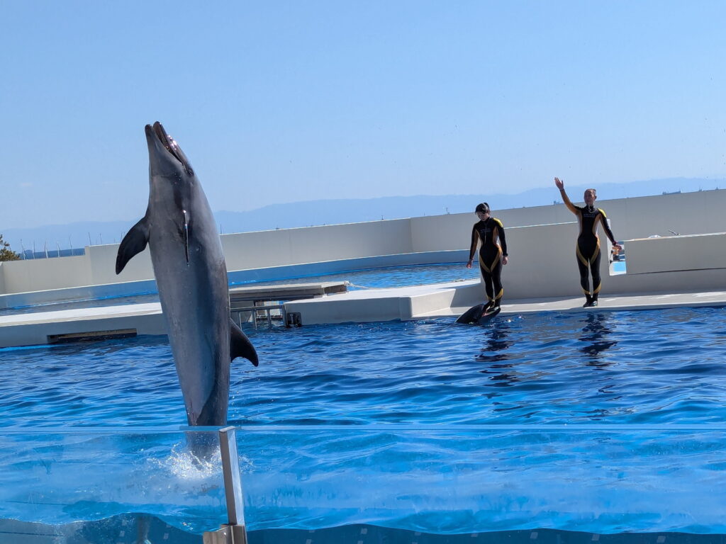 神戸須磨シーワールド ドルフィンパフォーマンス