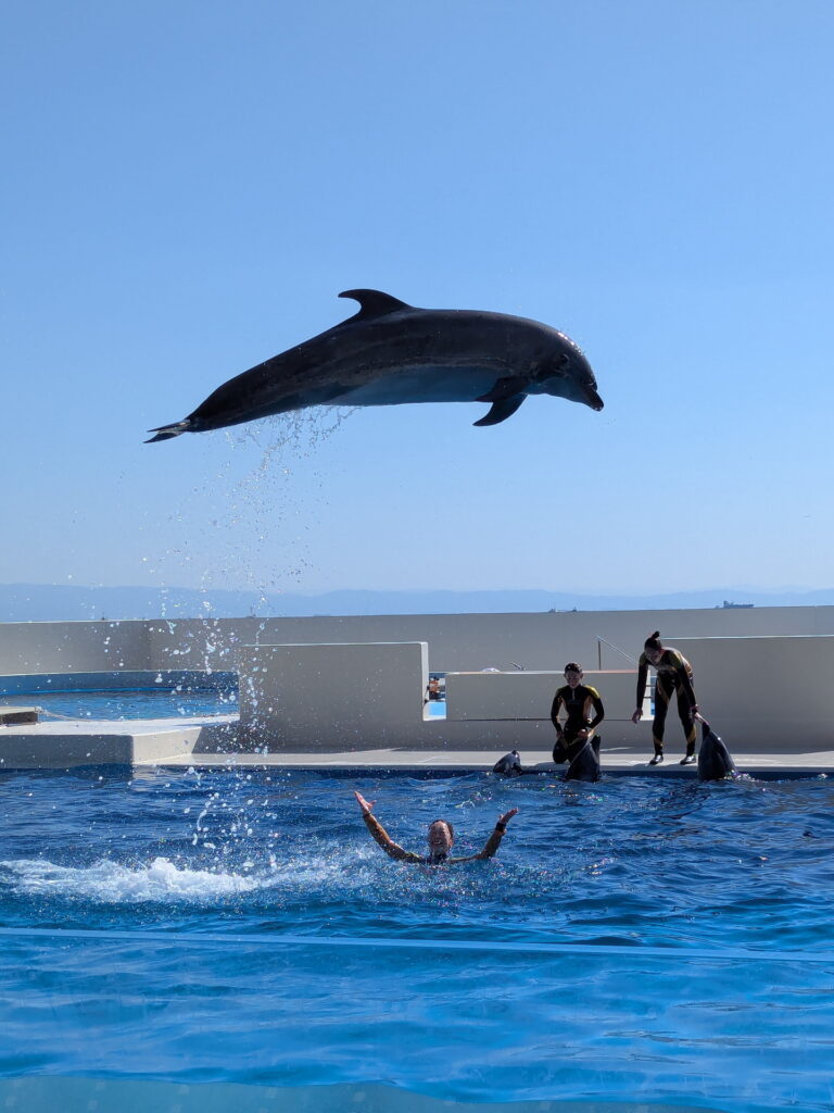 神戸須磨シーワールド ドルフィンパフォーマンス