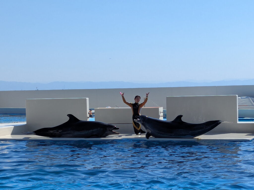 神戸須磨シーワールド ドルフィンパフォーマンス