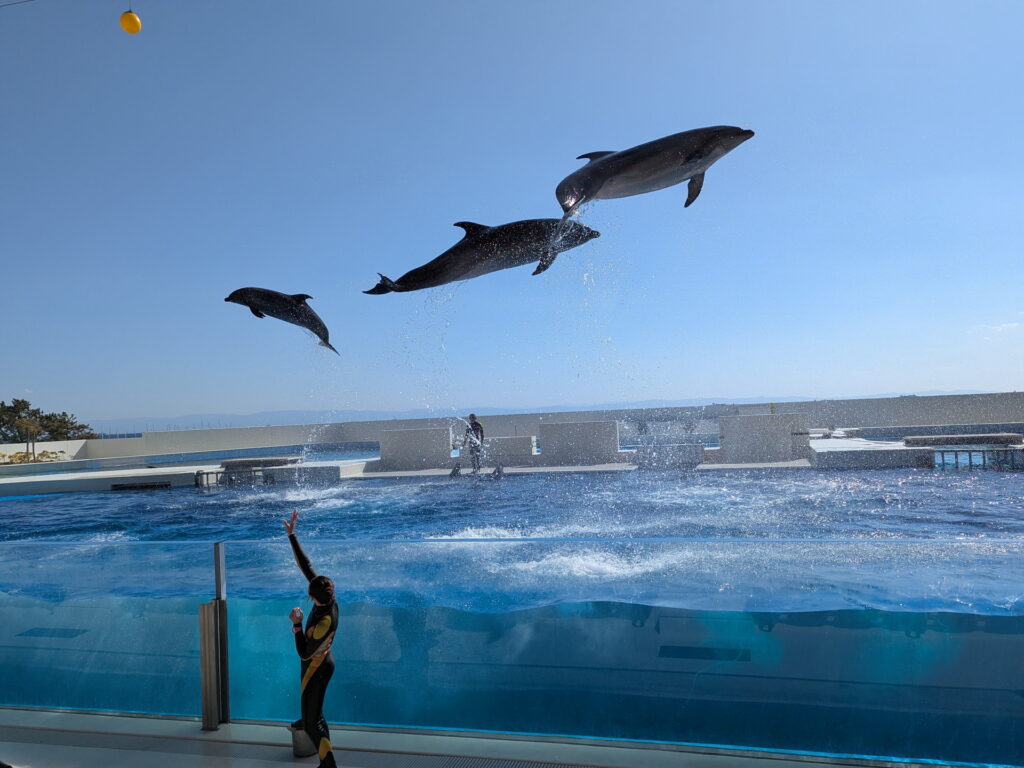 神戸須磨シーワールド ドルフィンパフォーマンス