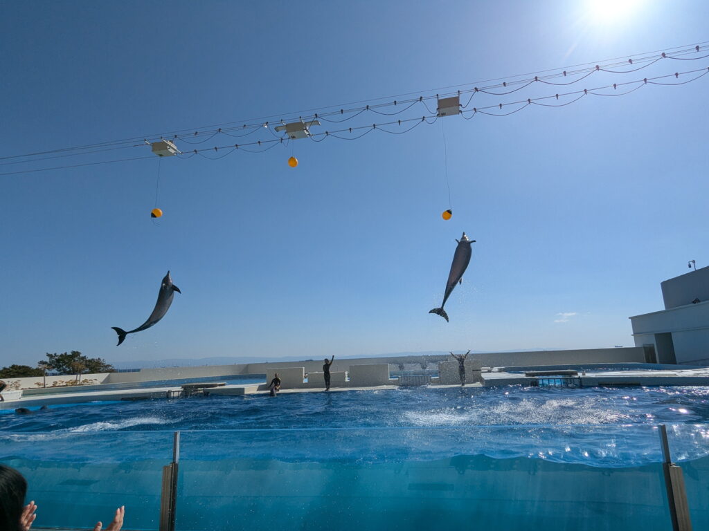 神戸須磨シーワールド ドルフィンパフォーマンス