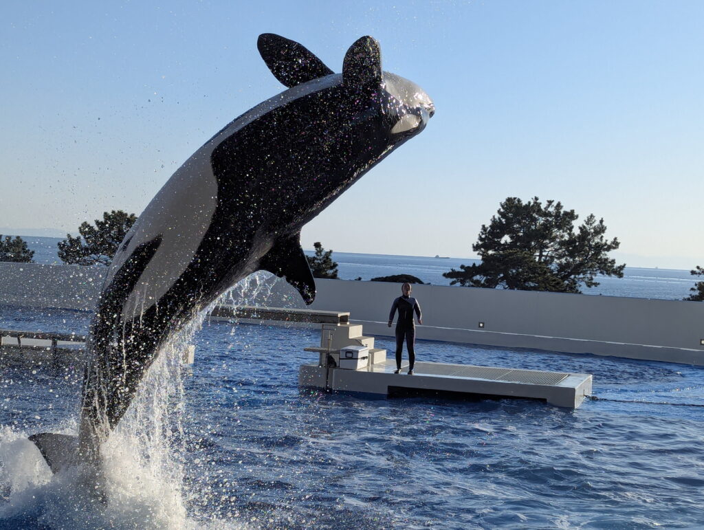 神戸須磨シーワールド オルカパフォーマンス