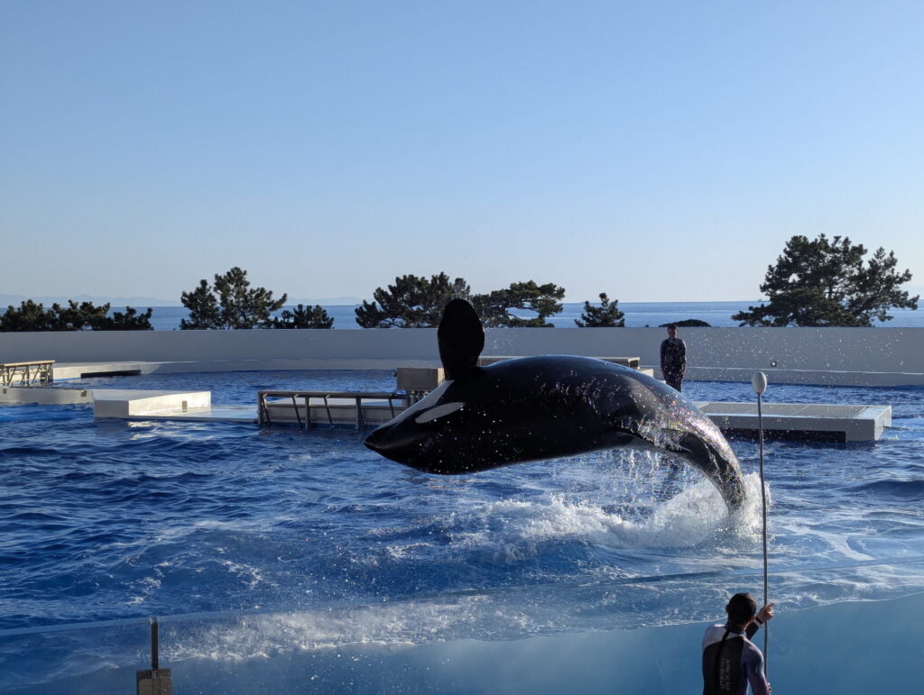 神戸須磨シーワールド オルカパフォーマンス