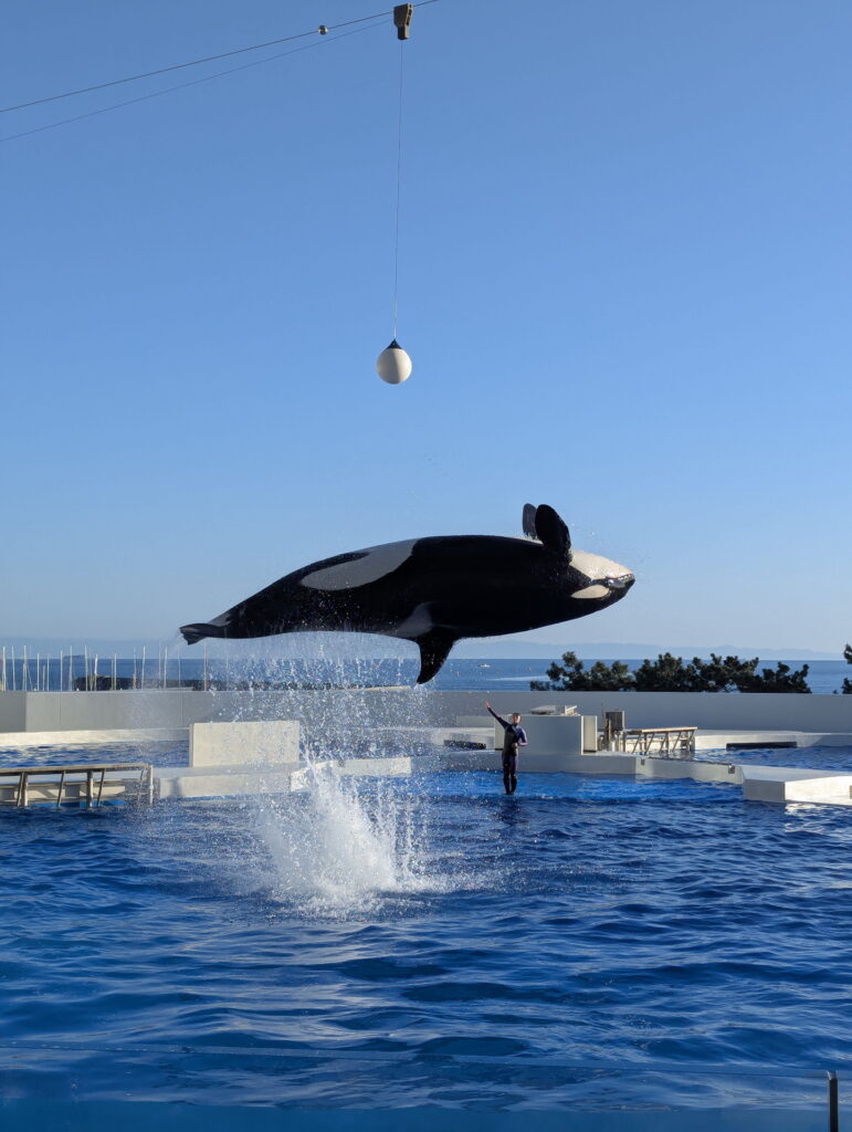 神戸須磨シーワールド オルカパフォーマンス