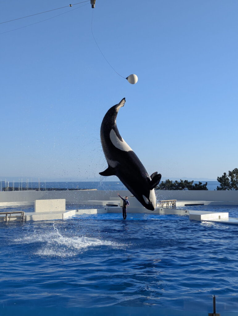 神戸須磨シーワールド オルカパフォーマンス