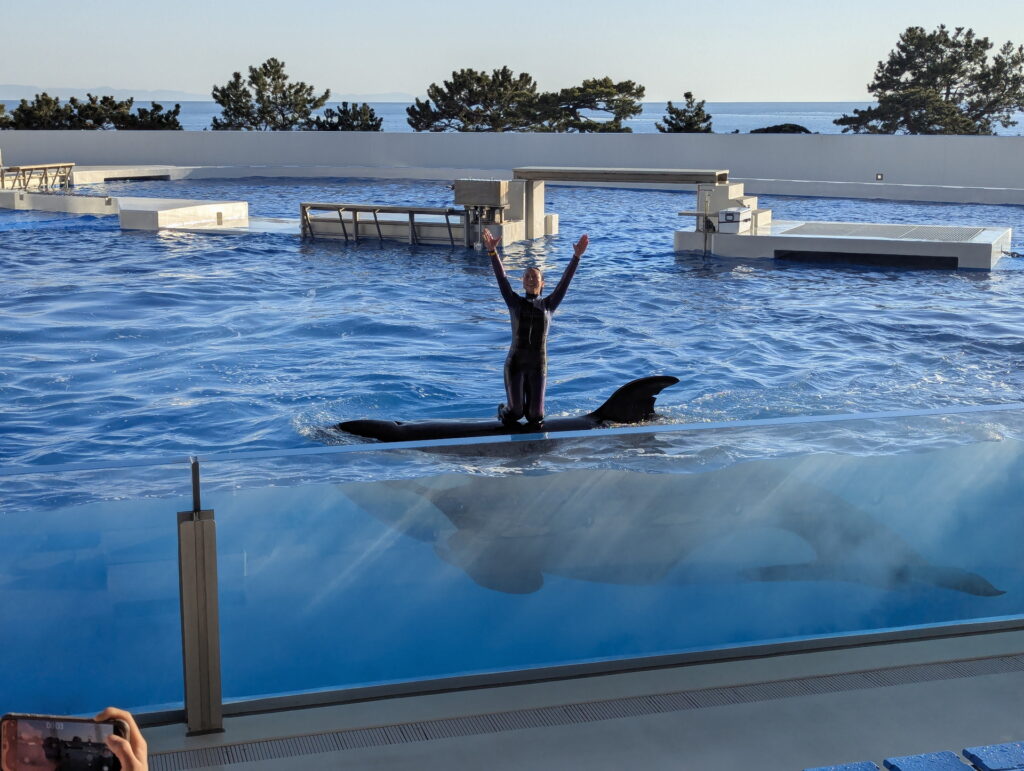 神戸須磨シーワールド オルカパフォーマンス