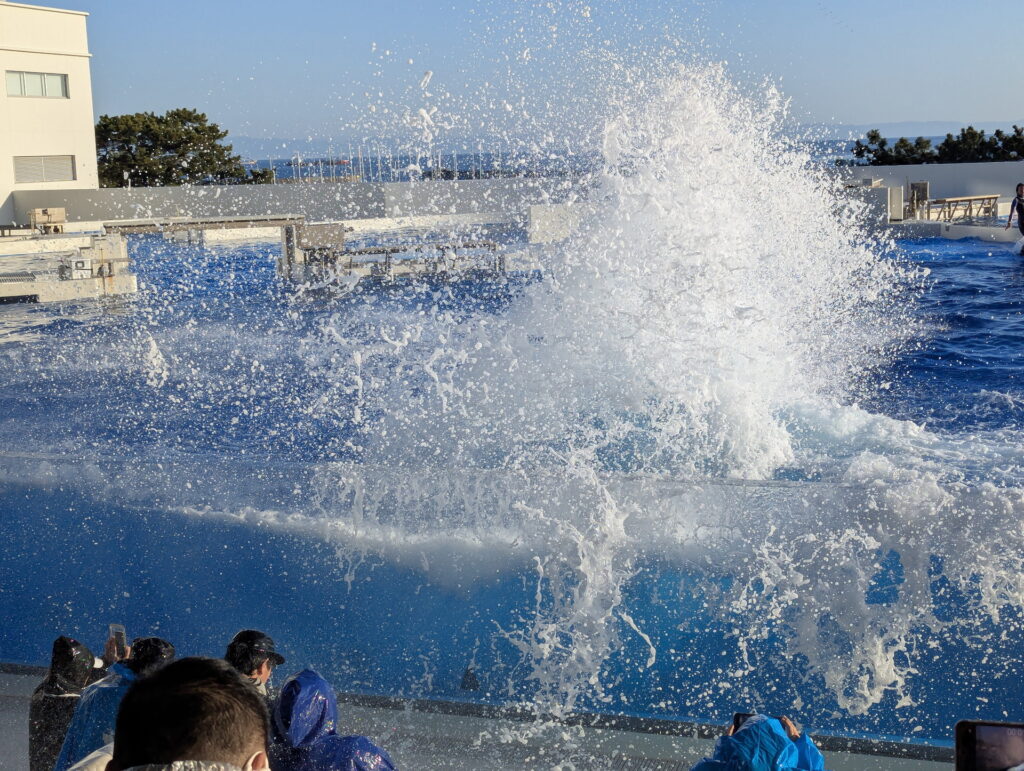 神戸須磨シーワールド オルカパフォーマンス