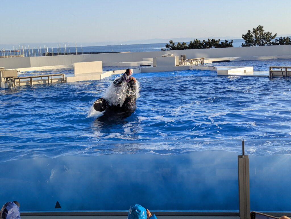 神戸須磨シーワールド オルカパフォーマンス