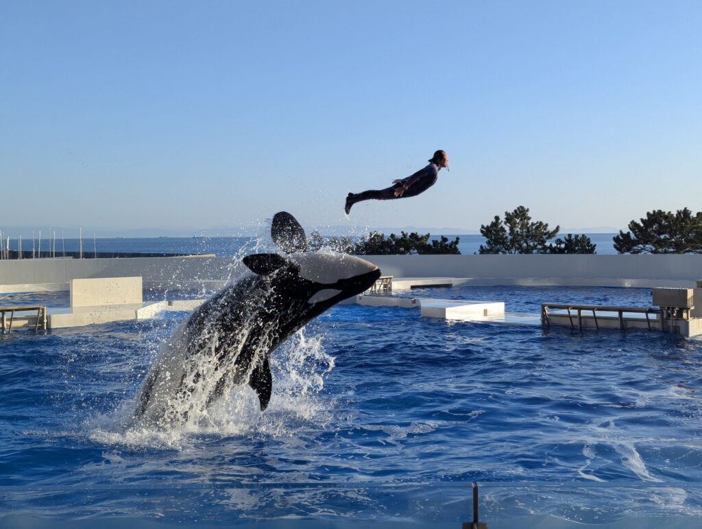 神戸須磨シーワールド オルカパフォーマンス
