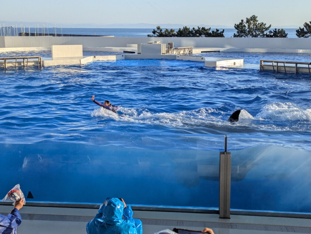 神戸須磨シーワールド オルカパフォーマンス