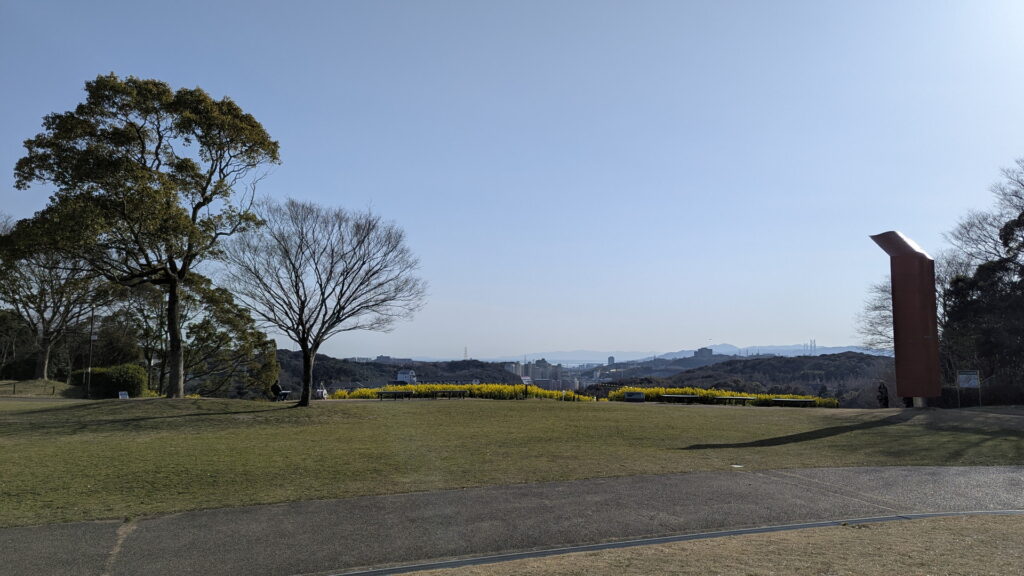神戸総合運動公園 コスモスの丘